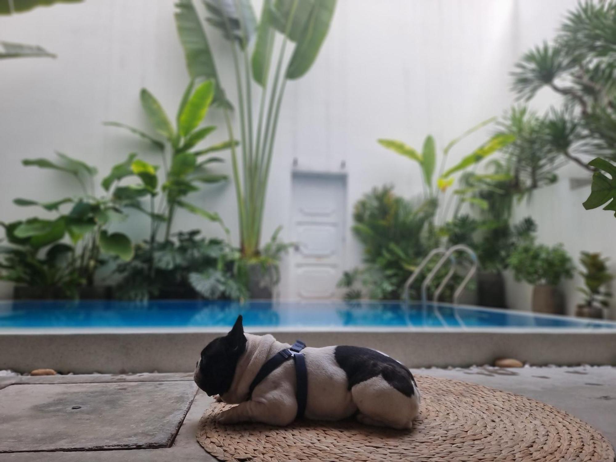 شقة Lada'S House دا نانغ المظهر الخارجي الصورة